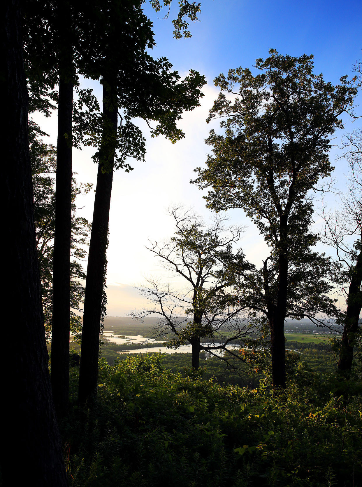 THE GREAT RIVER-0254